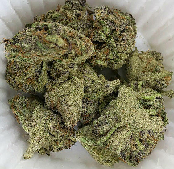 Kiefed marijuana sample